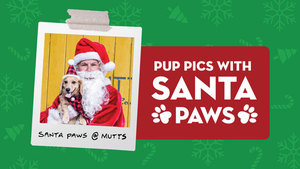 Santa Paws