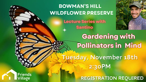 Gardening with Pollinators in Mind