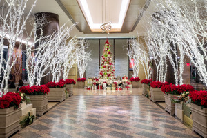 Holidays at Hilton Americas-Houston
