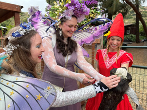 A Faery Hunt Show and Their Animal Friends
