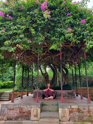 The Art of Letting Go