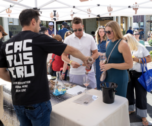 16th Annual Sonoran Fine Art & Wine Festival