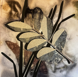 Mary K VanGieson: Chasing the Ephemeral