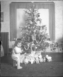 LOCAL HISTORY GUILD | My Favorite Things: Collection Highlights