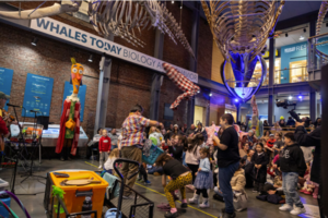 TOE JAM PUPPET BAND | CITY CELEBRATES NYE!