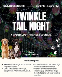 Twinkle Tail Night at the Tianyu Lights Festival