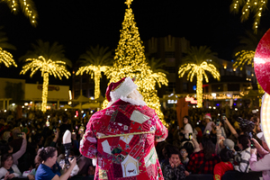 Tree Lighting at Westgate Entertainment District