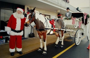 🎄 FREE Horse-Drawn Carriage Rides at The Shops At Hilltop! 🎄