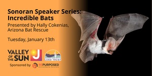 Sonoran Speaker Series: Incredible Bats