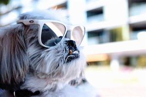 FREE Vision Board Party at PuriFi in Scottsdale