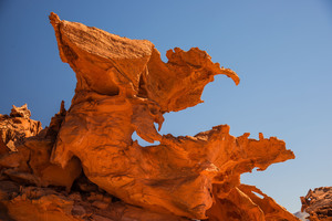 Photography Club of Davis