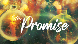 Advent Rhythms: Practicing Presence in the Season
