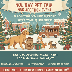 Holiday Pet Fair and Adoption Event