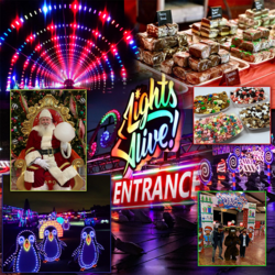Lights Alive Drive-Thru Christmas Lights + Winter Wonderland Park & Play Festival