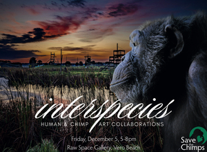 Interspecies Human & Chimp Art Collarorations