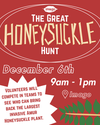 The Great Honeysuckle Hunt