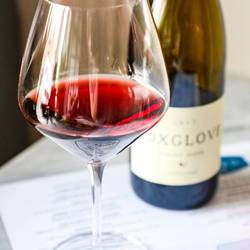 Beaujolais Nouveau Day