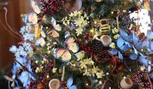 Indoor Holiday Forest