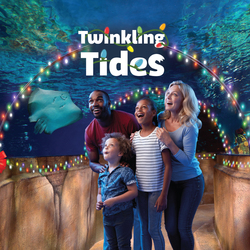 Twinkling Tides - Winter Lights and Holiday Event at SEA LIFE Aquarium in Southeast Michigan