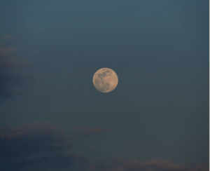 Cold Moon Celebration at The Rooftop Bar