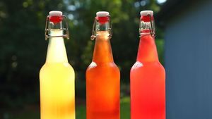 Sodas! A Family Fermentation Workshop