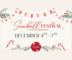 Snowball Festival at Icehouse Amphitheater!