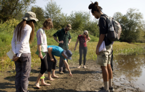 Wilderness Awareness Wildlife Tracking Club