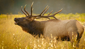 High Country Photography Showcase: "Best of 2025"