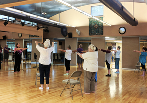 Gentle Tai Chi Sequences