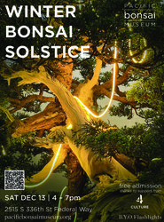 Winter Bonsai Solstice