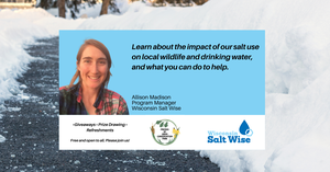 Smart Road and Sidewalk Salt Use