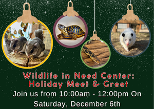 Wildlife In Need Center's Holiday Meet & Greet