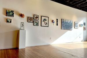 Begin the Holiday Season with Art at Imago Gallery