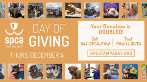 SPCA  “Day of Giving