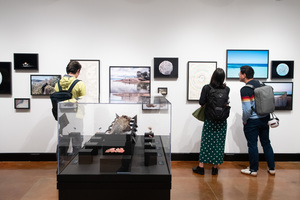 ArtsThursdays at the Peabody Museum of Archaeology & Ethnology