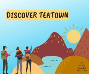 Discover Teatown Hike