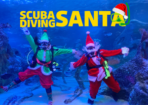 Scuba Diving Santa at SEA LIFE Grapevine