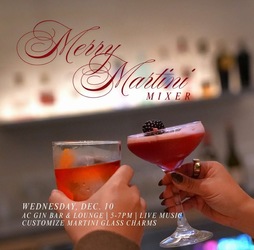 AC Merry Martini Mixer