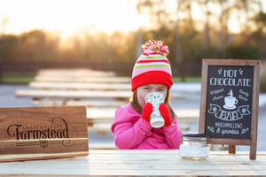 Christmas Experience at Ancient City Farmstead