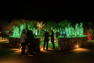 Holiday Nights Returns to Tohono Chul with Extended Dates and Hours DEC. 5-DEC. 21