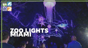 Zoo Miami Lights Up the Holidays Opening Night
