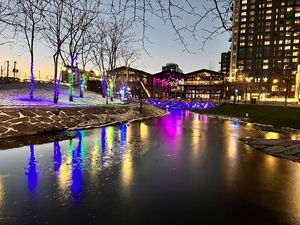 Winter Lights at Cambridge Crossing!
