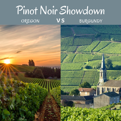 Pinot Noir Showdown: Oregon vs Burgundy