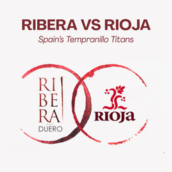 Ribera del Duero vs Rioja: Spain's Tempranillo Titans