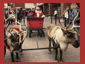 Twin Cities Premium Outlets Hosts Photos with Santa and Live Reindeer
