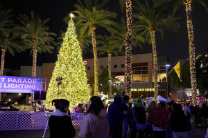 Fantasy of Lights Street Parade + Tree Lighting and Shop Small Saturday is Nov. 29