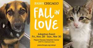Fall in Love Adoption Event