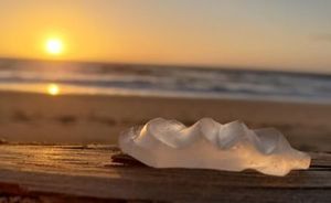Sea Glass: A Local History