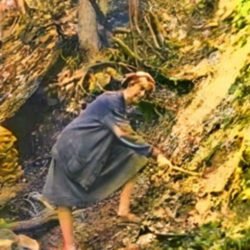 Winifred Goldring: The State Paleontologist Through an Archival Lens