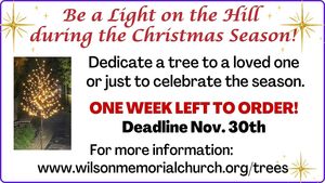Wilson Memorial Church Trees of Light